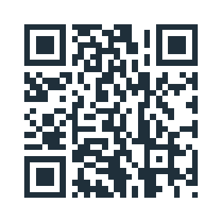 H5 preview QR